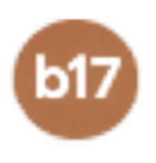 B17